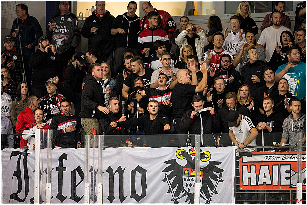 Testspiel Koelner Haie - Adler Mannheim, 09.09.2018